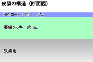 皮膜断面図